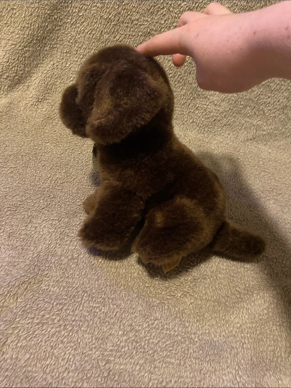 Plush Brown Puppy Stuffed Animal with Gold Tag